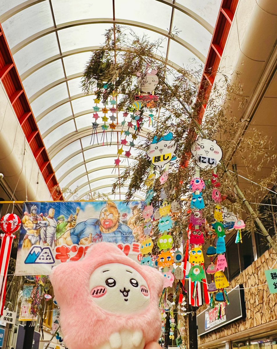 shiro_op's tweet image. 七夕のかざりになっちゃったってことぉ？

後ろはGO！GO！マッソォ！

#ぬい活 #ぬい撮り