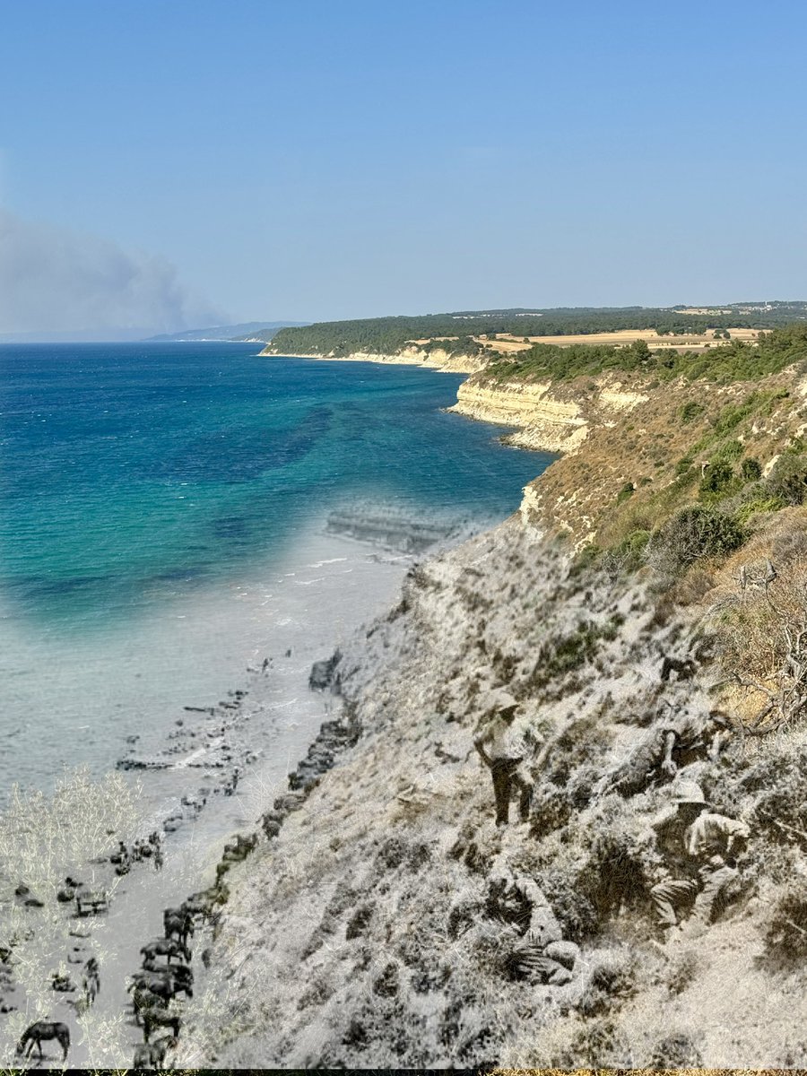 Goslingpress's tweet image. A great co.posite photo then and now of the beach at Seddülbahir by @volkan_eldem