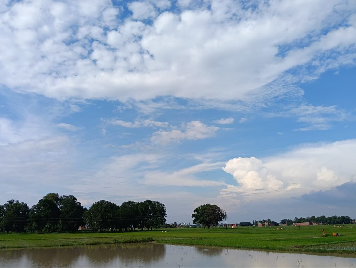 Isha8093's tweet image. "Nature never goes out of style"
If you want to watch a painting, just watch the sky after it rains.
#Scenicbeauty 
#Clouds
#NaturePhotography