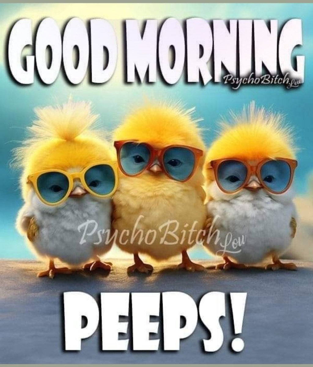 Good morning from the Funny Farm.