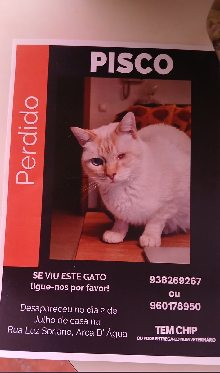 Porto. (Não é meu mas) agradeço a partilha mesmo que não residam no Porto pois podem ter seguidores que sim. E um dia talvez precisem do mesmo tipo de ajuda. Obrigada.