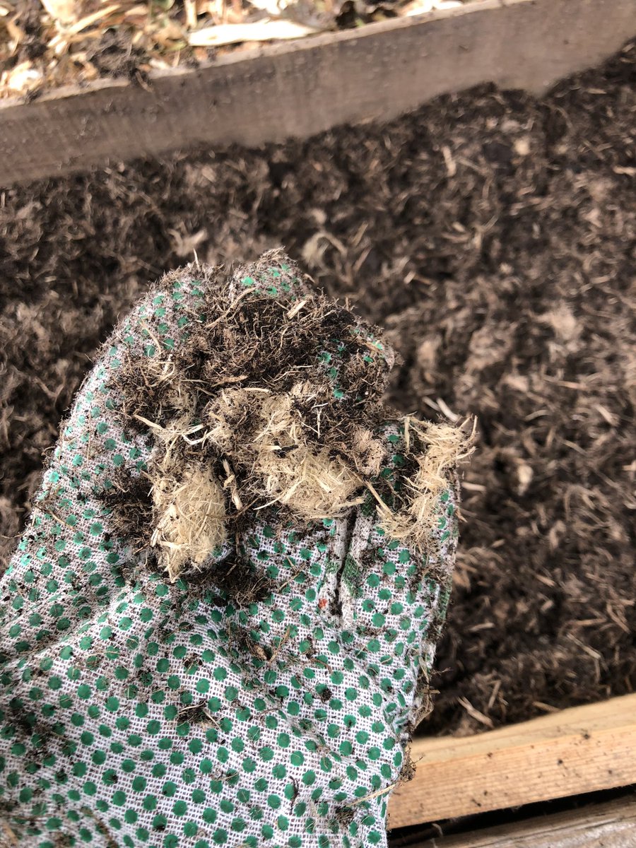 SocksAndBoo's tweet photo. @AsdaServiceTeam really not impressed with this compost I bought from you! It’s full of fibres! I’m glad I only picked up one bag https://t.co/FJFCXzYlnh