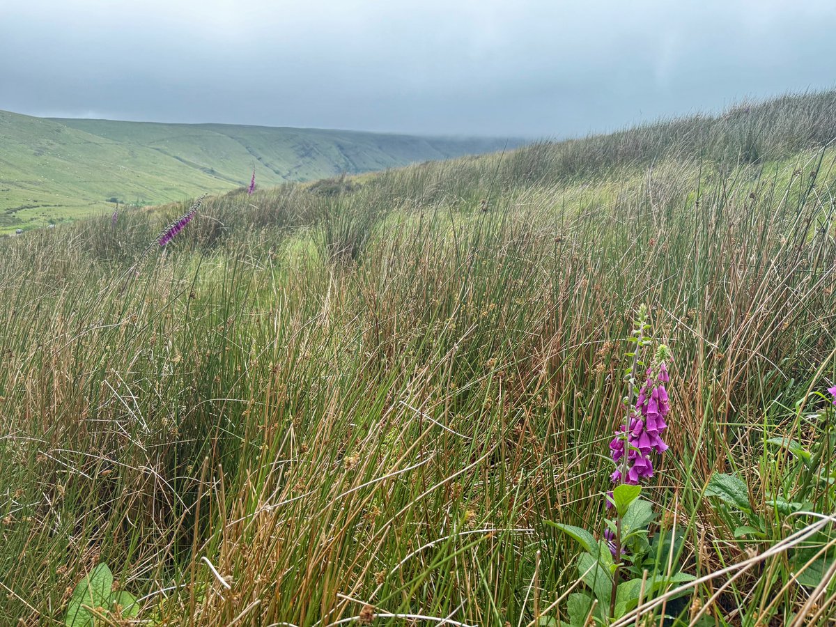 I’ve got 5 weeks of summer left before I go into healing mode for a couple of months (scheduled surgery).

Where should I take myself while I still can?