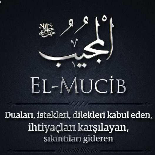 “Kulun kalbine Dua etme arzusu geldiğinde Rabbine Dua etsin. Çünkü Allah onu kabul edecektir.”

(Hz. Muhammed s.a.v)