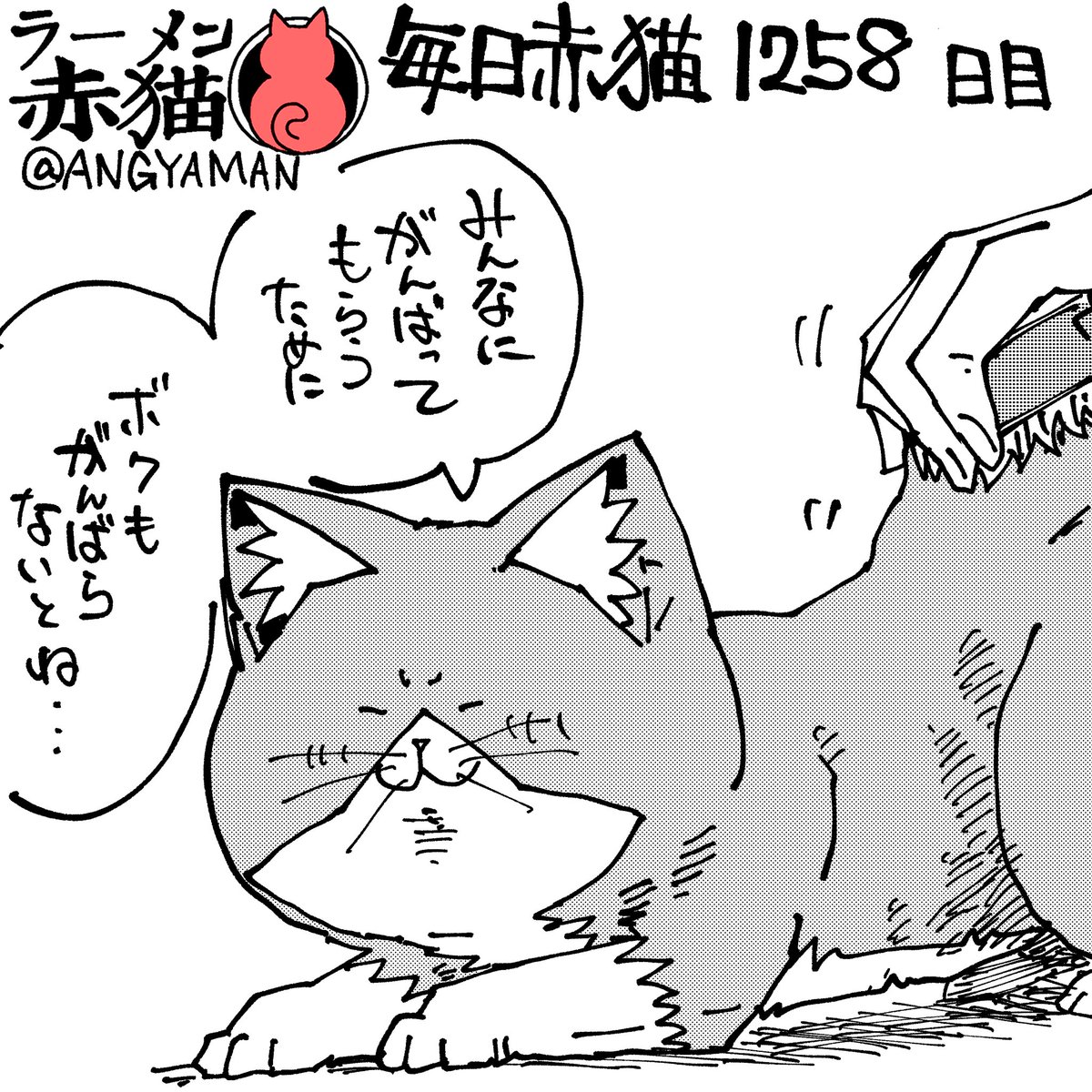 頼れるCEO
#ラーメン赤猫 #ジャンププラス
154杯目 https://t.co/JiJI7g81aQ 