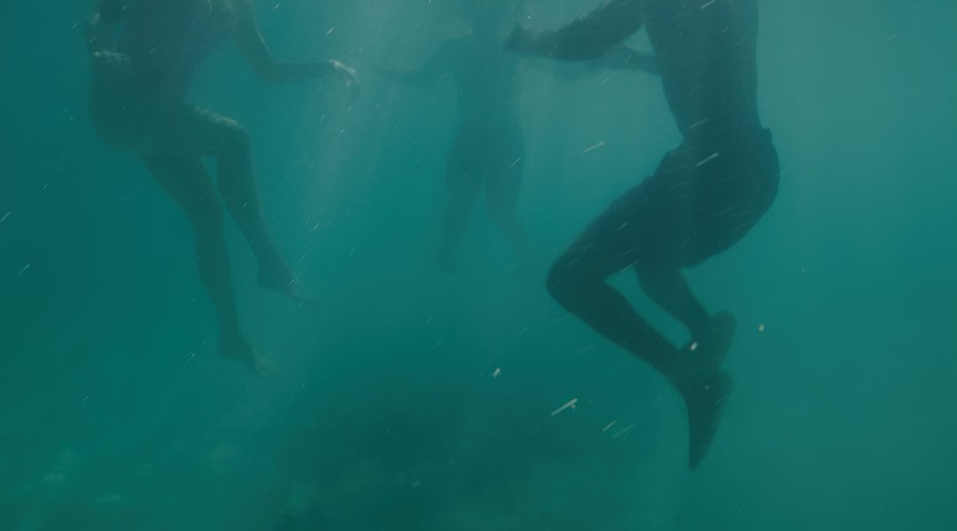 🚨 Tonight’s the night! 🦈

Don’t miss the premiere of Investigation Shark Attack, a gripping new series that takes you inside Shark Headquarters to analyze real shark attacks with cutting-edge science and expert insight.

📺 Premiering TONIGHT at 9PM EST on National Geographic