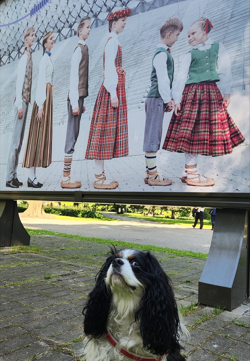USEmbassyRiga's tweet image. Ar prieku gaidām Latvijas Skolu jaunatnes dziesmu un deju svētkus! Tajos piedalīsies arī vēstniecības darbinieku bērni un daudzi no mums apmeklēs svētku pasākumus! Uzgavilējam!