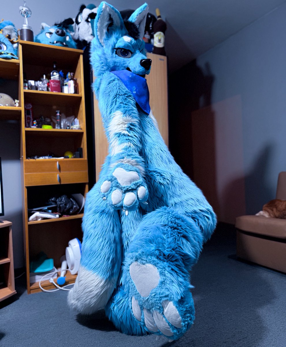 Where are my paws lovers at? 👀🐾