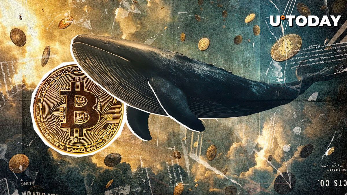 As a #Bitcoin whale from the Satoshi Era transfers 80,009 $BTC today, investors are alarmed by on-chain statistics.  The whale, who has owned these tokens for more than 14 years, has transferred $8.69 billion worth of them, raising concerns about sell-offs and a potential