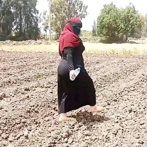النسوان الفلاحه فين
فلاحه وافتخر ♥️