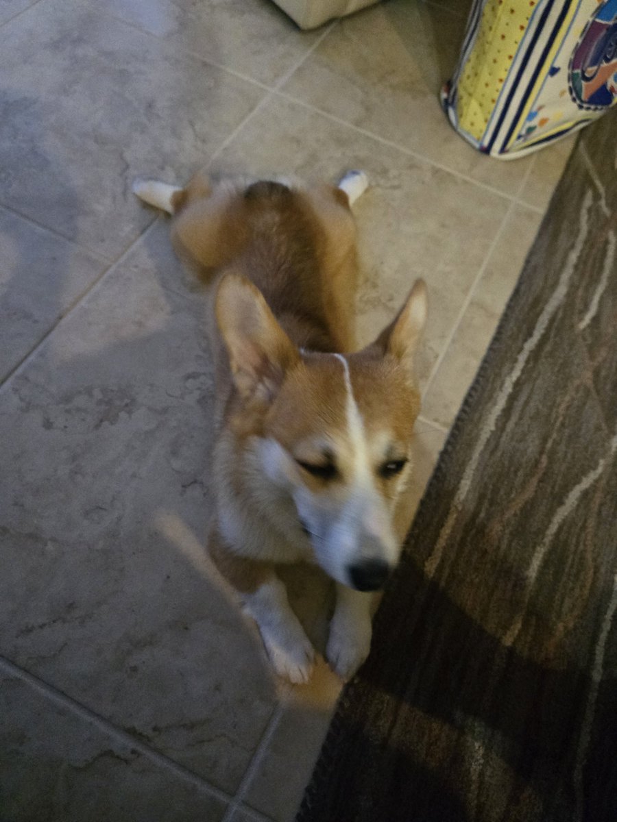 Old man vs young man sploots