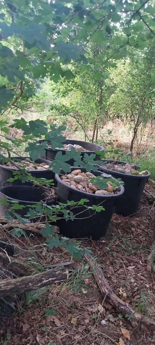 ErichenryApn's tweet image. #A69
Rassemblement interdit.
Catapultes, boules de pétanque, hâches, scies, pierres, pléthore d&apos;ultra-gauche encagoulés dont 50 #fichés #S, 
Leur but: Semer le #chaos, détruire, casser voire tuer du #flic.
Pas des militants écologistes, des «éco terroristes »!
Soutien aux #FSI👮‍♂️