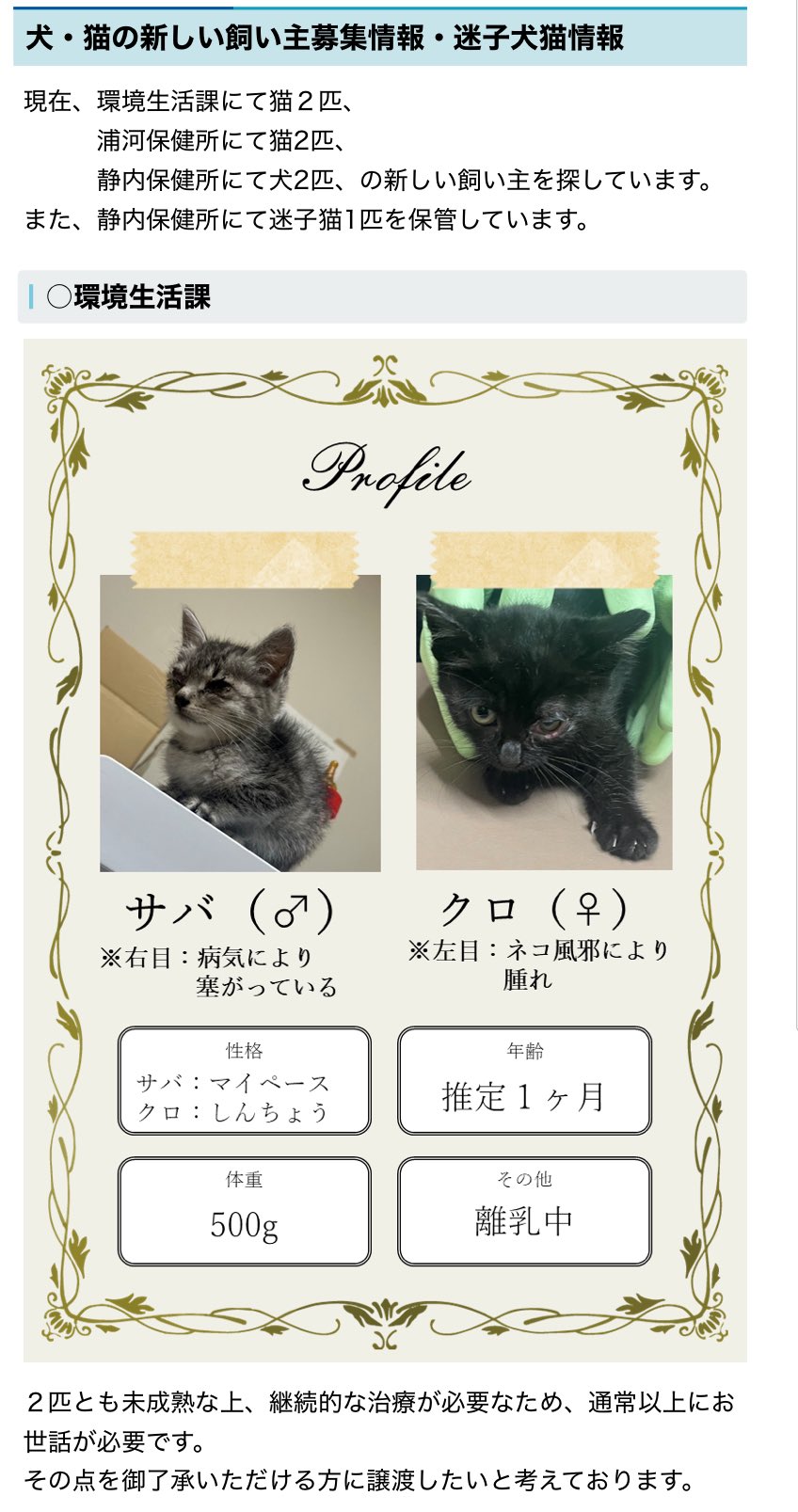 キャサリン🐈‍⬛ (@ellycoccu) / X