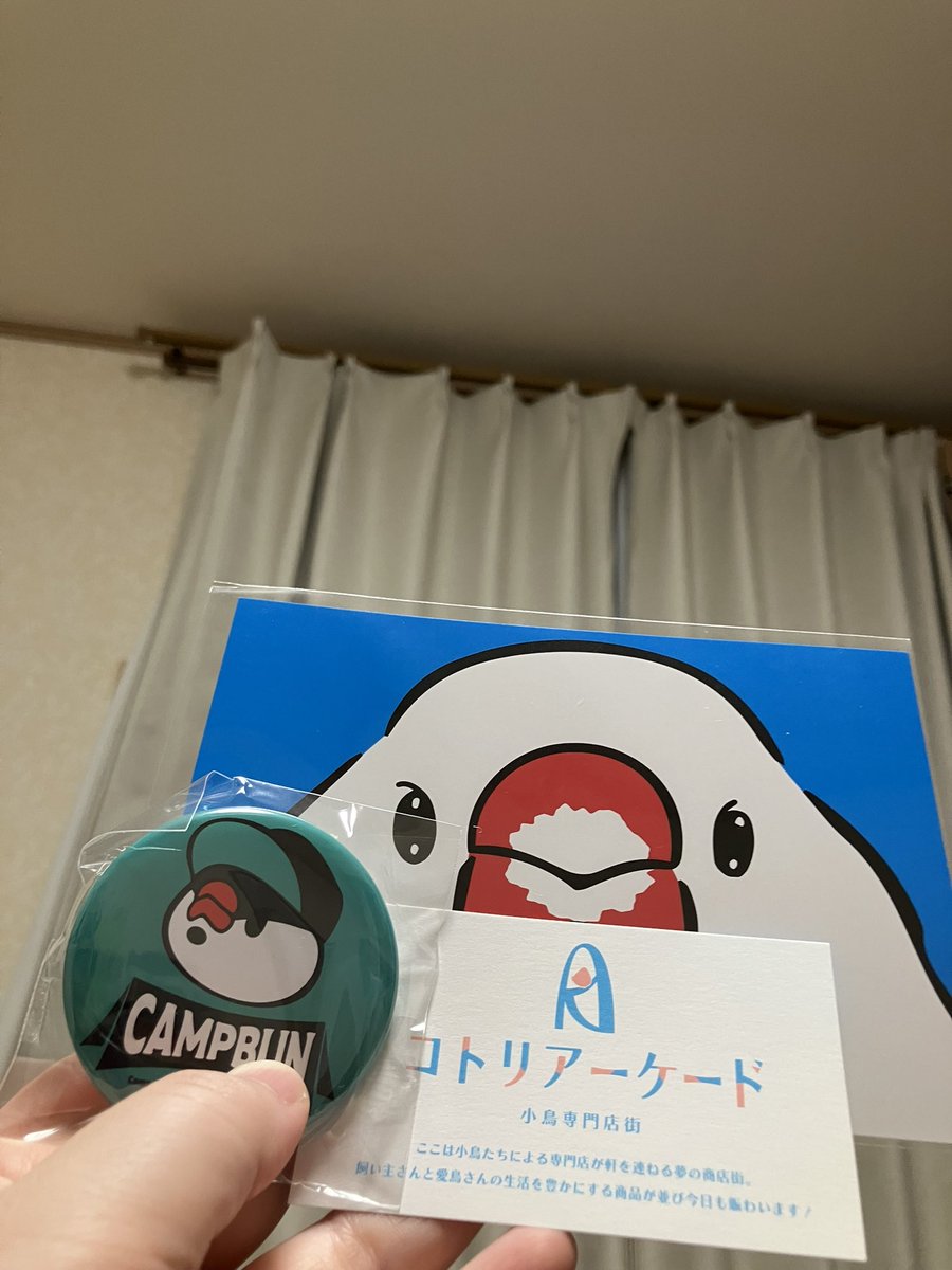 【ココロ】ことりのおおきなあそびば ココロ】ことりのおおきなあそびば Kodomo No Hi - Children's