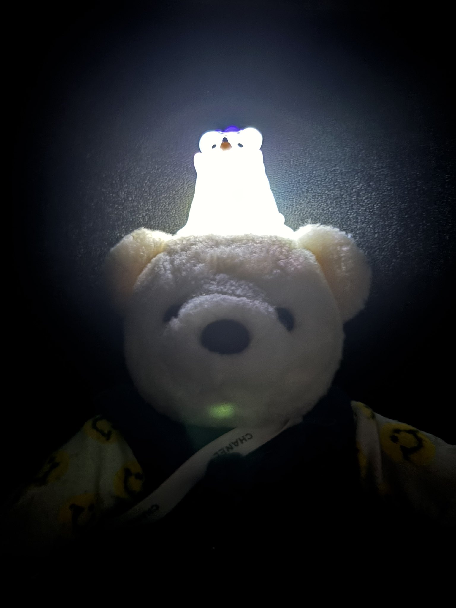 くまの ぽーちゃん🐻‍❄️🤍 on X: 