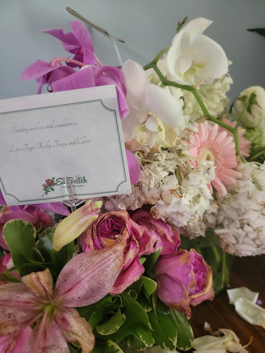 Tenacious Tiff tweet media