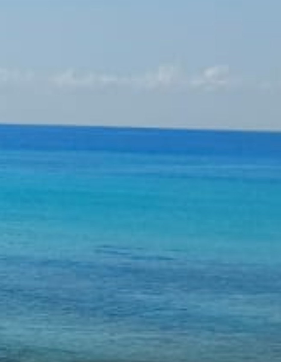 Yootu1315395's tweet image. You were always on my mind…
youtu.be/ohMDpAGy4FU?si…

Si te pregunta el mar, dile que solo somos dos locos…
perdidos en mares diferentes.