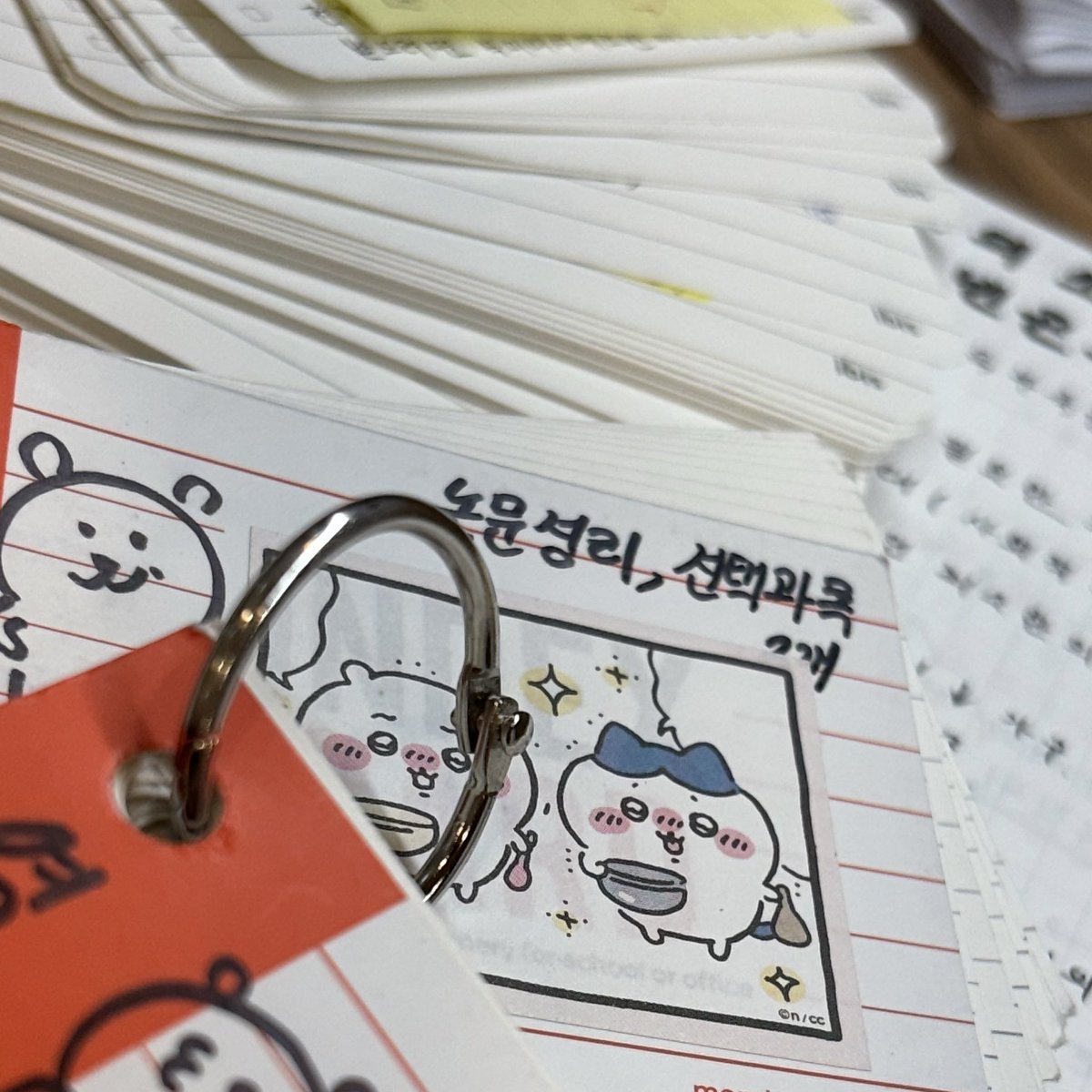 although_com's tweet image. 이것저것 정보타래 ——