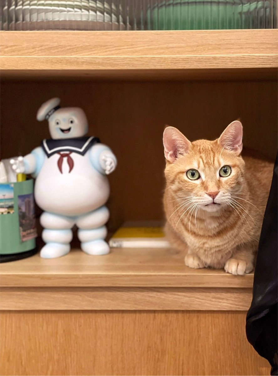 오랑씨와 마쉬멜로우맨.