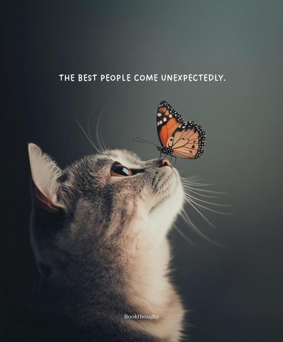 Self-Care Canvas 🦋 (@selfcarecanvas) on Twitter photo 