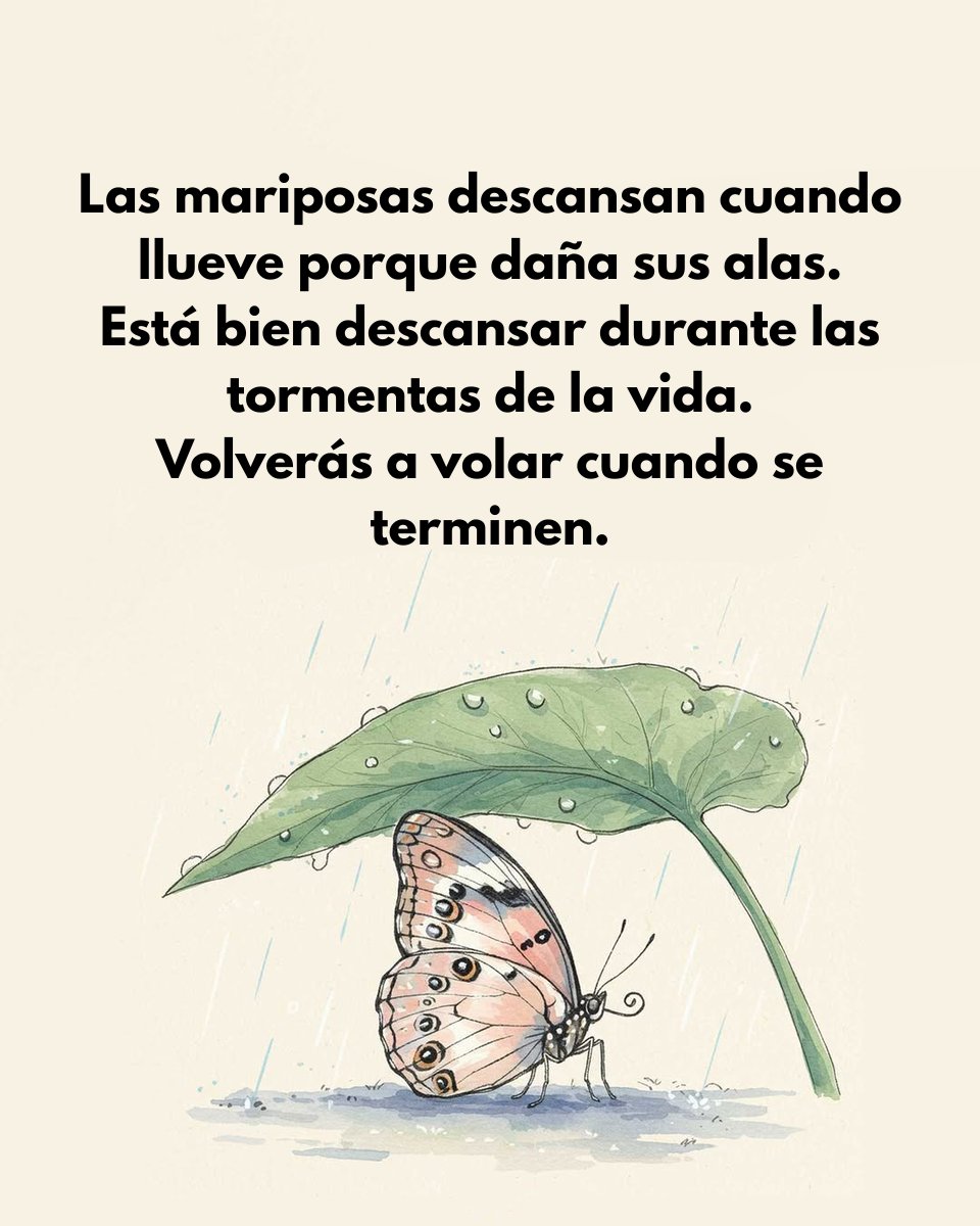 Javier Barciela tweet media