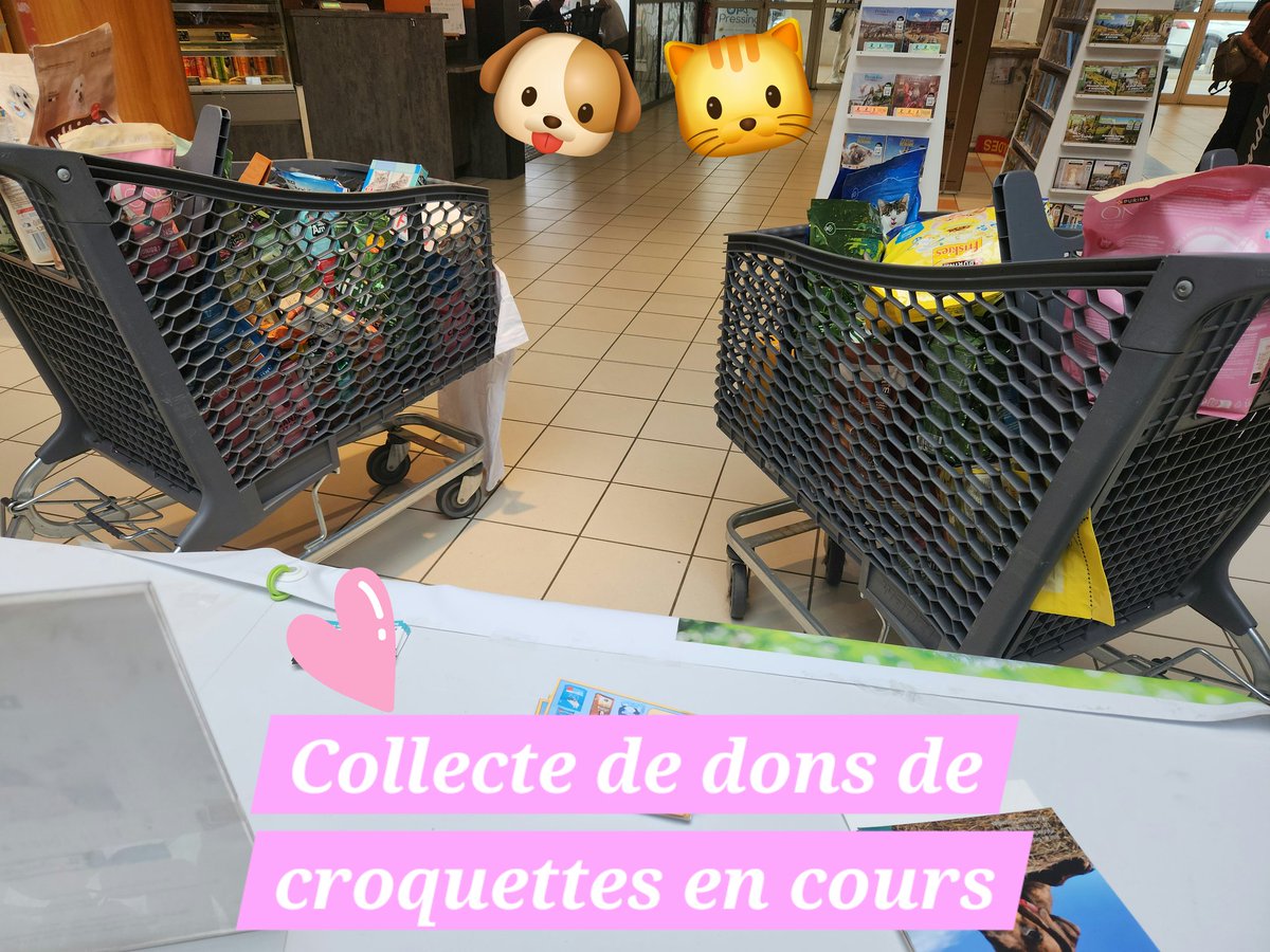 Si vous avez 1h ou 2h à donner de temps en temps, pensez aux refuges animaliers ! 🐾
Ils ont besoin de bénévoles, même ponctuels, comme pour les collectes de don en magasin, ce que j'ai fait aujourd'hui.🛒⬇️
Pas d'engagement régulier, juste un coup de main quand vous le pouvez❤️