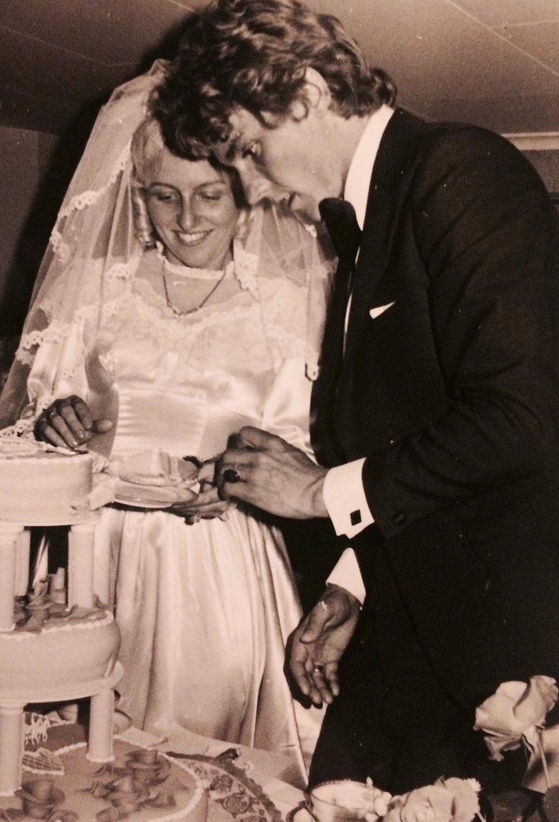 villvilje tweet media