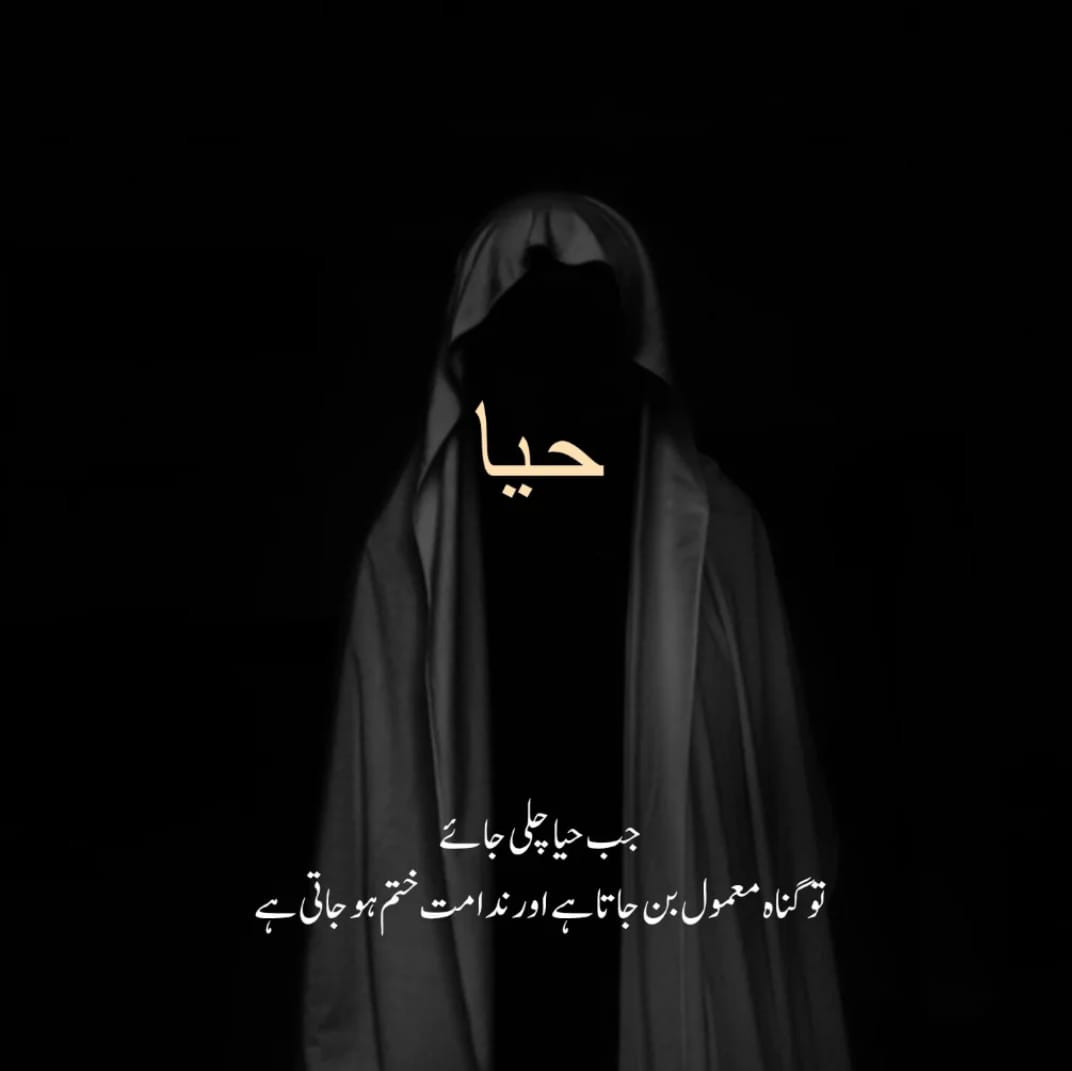 حيا اور ایمان ساتھ ساتھ ہیں. 🪶

💯