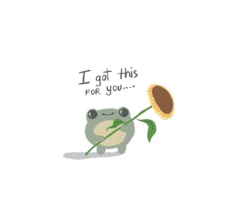 🐸🌻