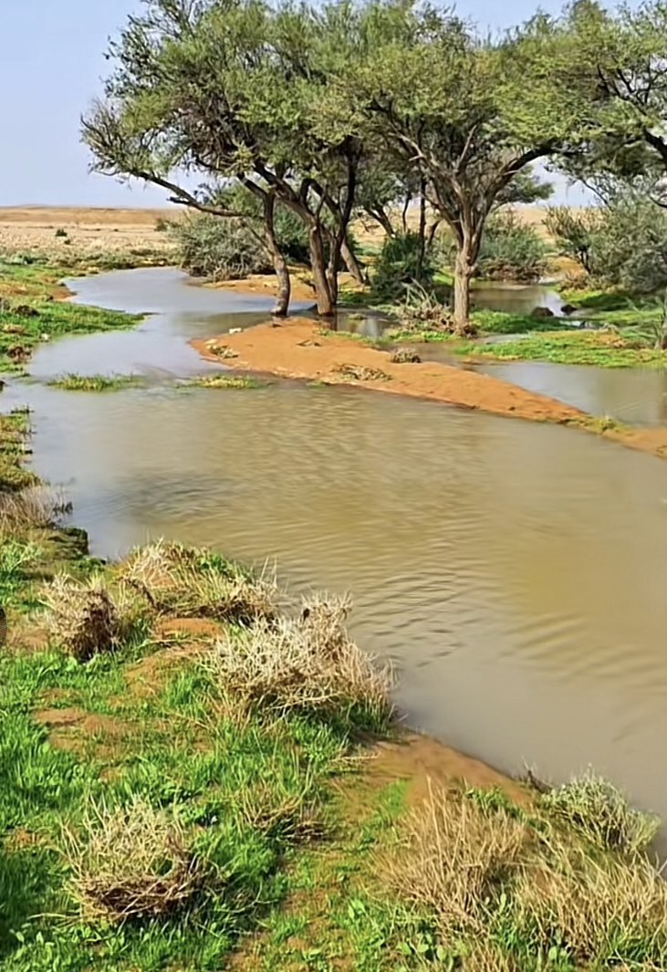 البر زرع تنتظر ثماره
ستجني مازرعت بوعد الله الذي لايخلف وعده