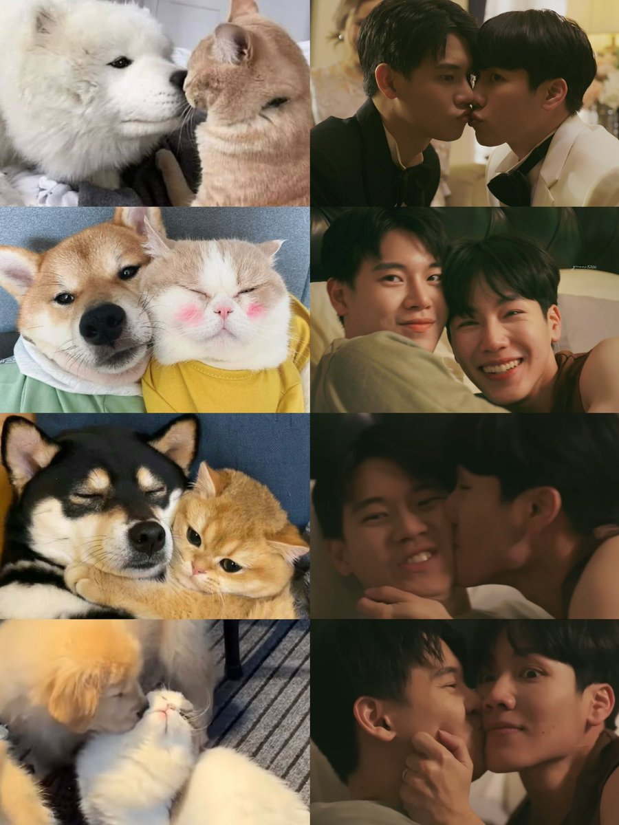Smile_theday's tweet photo. จะเป็นให้ได้นายหมาโบ้ กับน้องลูกแงว งื้อสารวัตรเธียร์กับน้องมังกร มุมุ😘

#Pilotที่รักสารวัตรเธียร์
#ที่รักสารวัตรเธียร์ 
#yinyin_anw #warwanarat #หยิ่นวอร์ https://t.co/yFBwlE6wzS