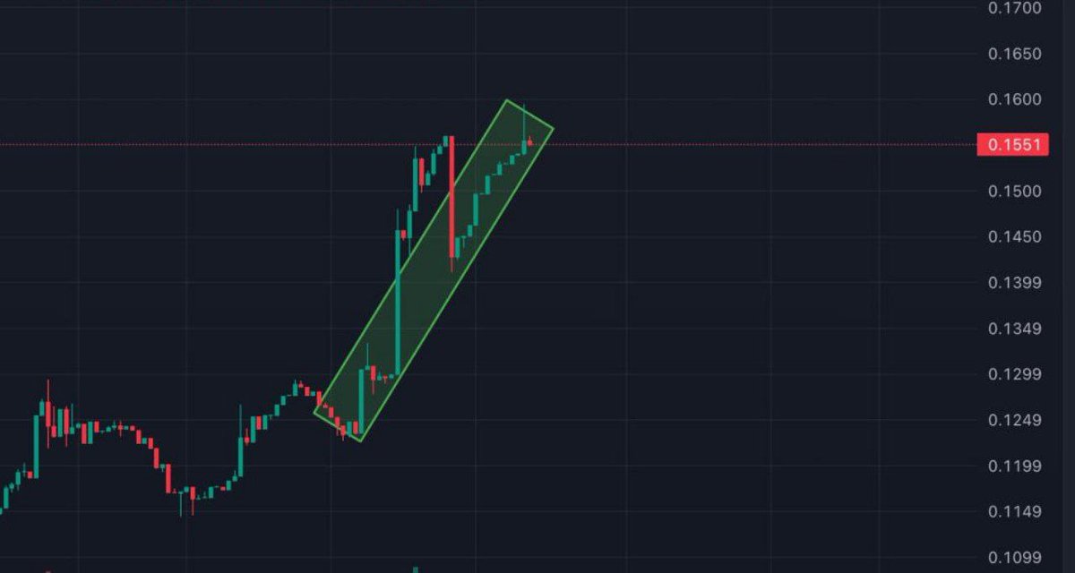 DToake78666's tweet image. It's a magic ✨
Can $MORI go even higher? #MORI