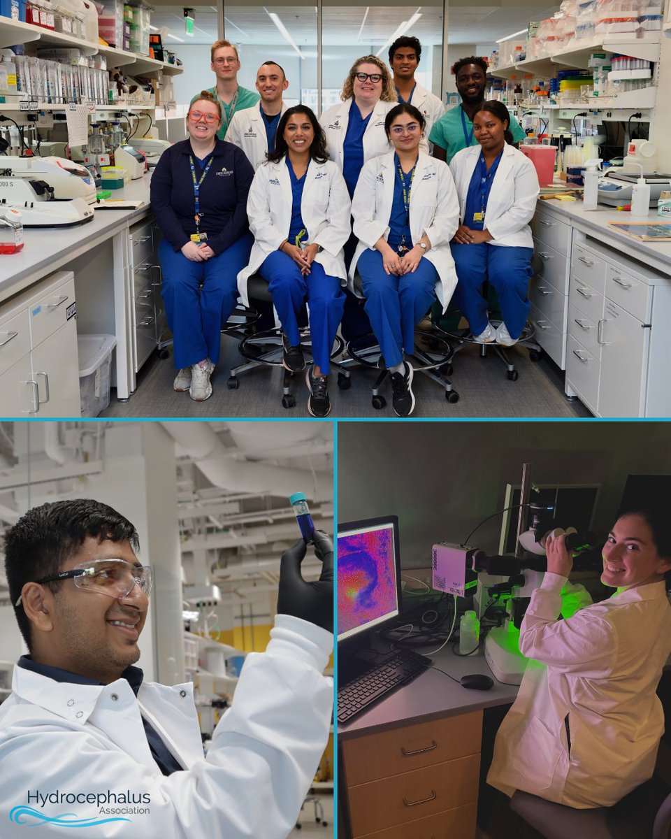 It’s National Research Appreciation Day! 🎉
To the scientists, clinicians &amp; families pushing hydrocephalus research forward—thank you! Your work brings hope, better treatments &amp; one day, a cure.
Explore the milestones we’ve made possible together: hydroassoc.org/research-miles…