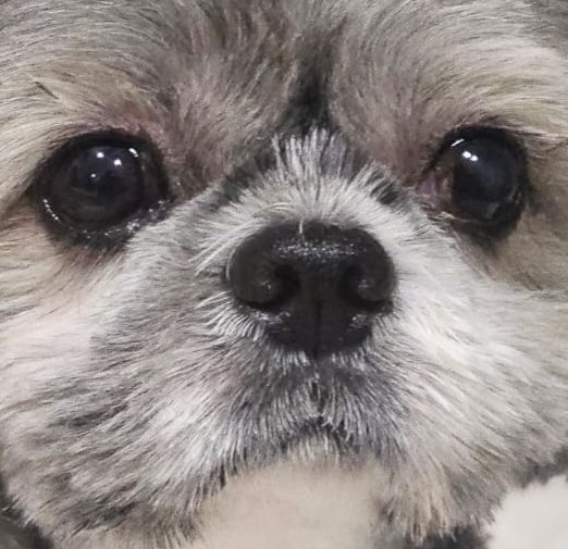 Midd Midd Life 🧡💀 tweet media