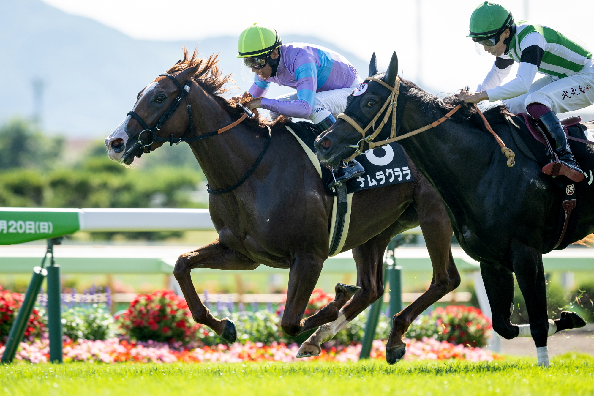 激レア　北九州　帆柱山から若戸大橋　激レアハガキ　プレミア 激レア 北九州 帆柱山から若戸大橋 激レアハガキ プレミア