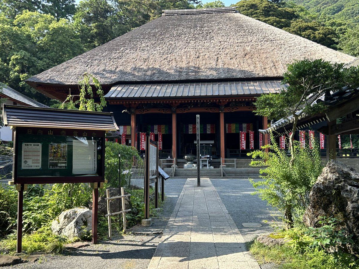 seguyuzi tweet media