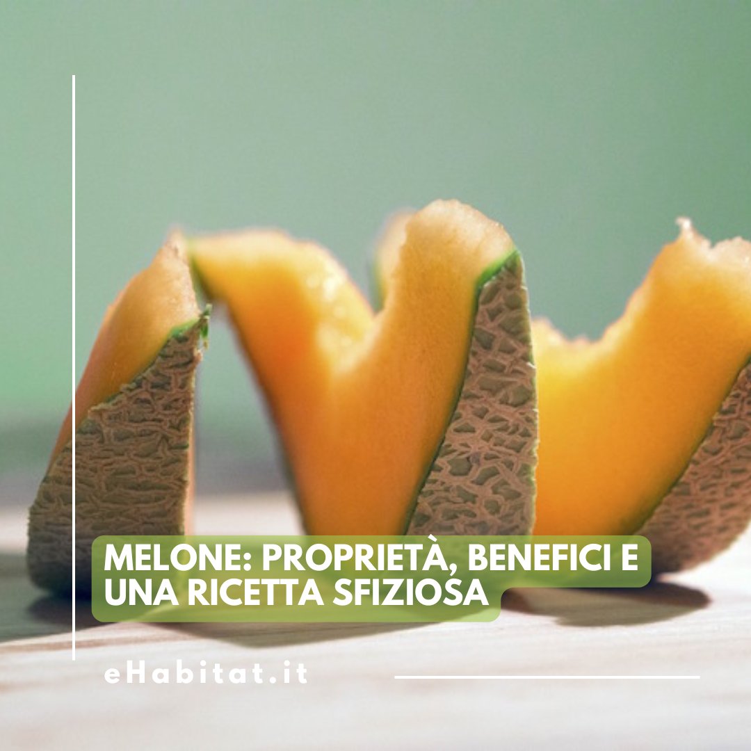 🍈 D’#estate il re della freschezza è lui: il #melone! Ricco di acqua, vitamine e sali minerali, è il frutto perfetto per idratarsi, fare il pieno di #energia e favorire l’abbronzatura 😎

👉 Leggi l’articolo:

ehabitat.it/2017/08/16/mel…

#Ricette #AlimentazioneSana #CucinaNaturale