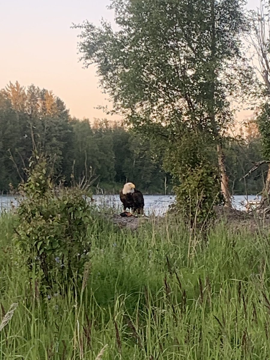 Matt Kimball (@txmattkimball) on Twitter photo 