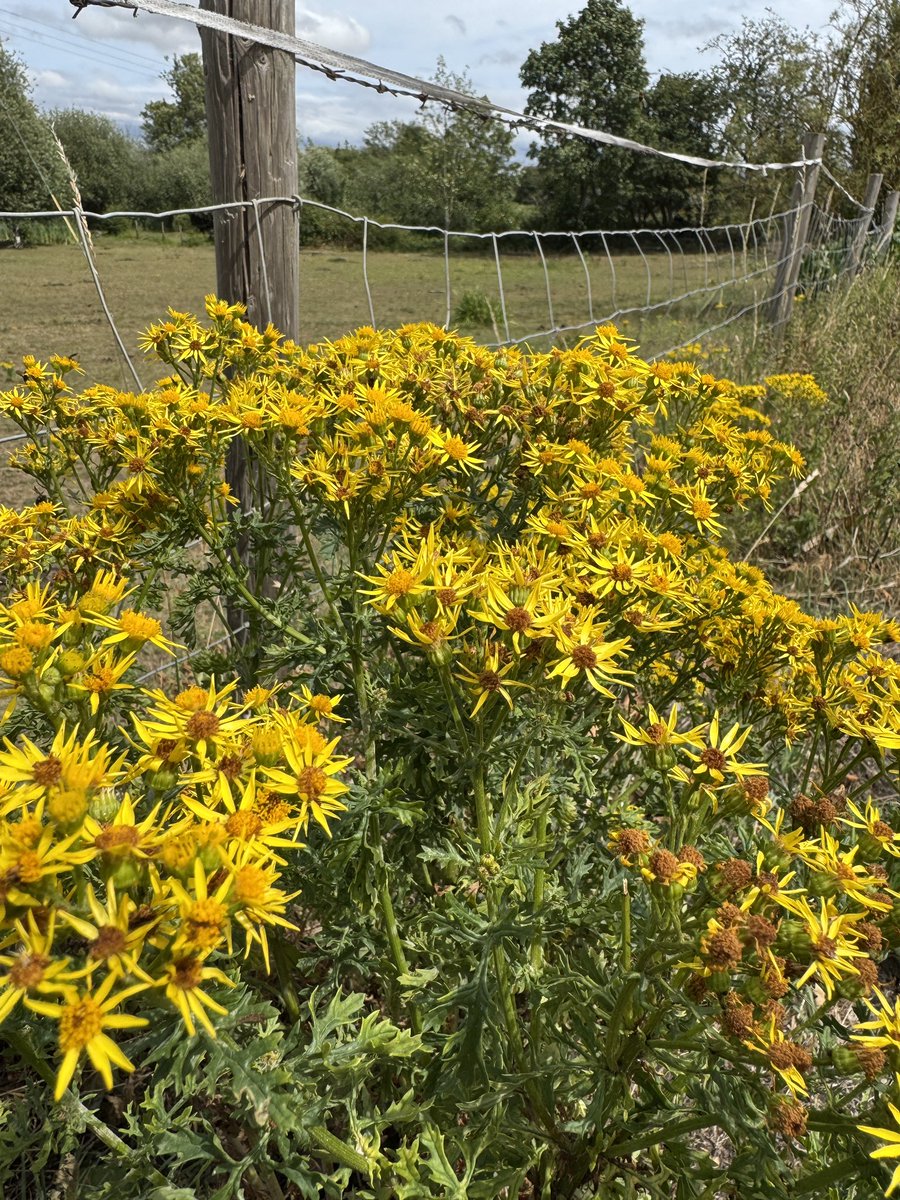 Stuart D tweet media