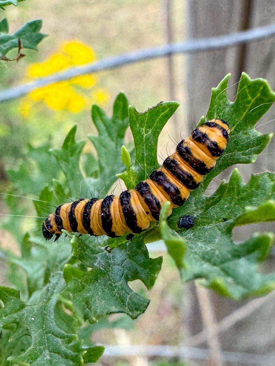 Stuart D tweet media