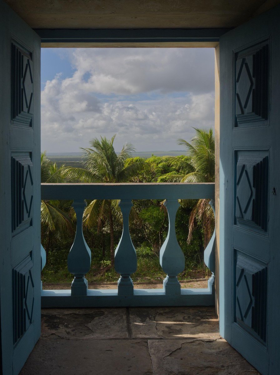 daily_toolbox's tweet image. 昼の熱がまだ空に残っている。

ベランダの鉢が、  
ゆっくり水を吸い上げている午後。

蝉の声と扇風機の音だけが、  
部屋の中に流れていた。

この静けさが、  
今日いちばんのご褒美かもしれない。

#暮らしの余白 #夏の午後