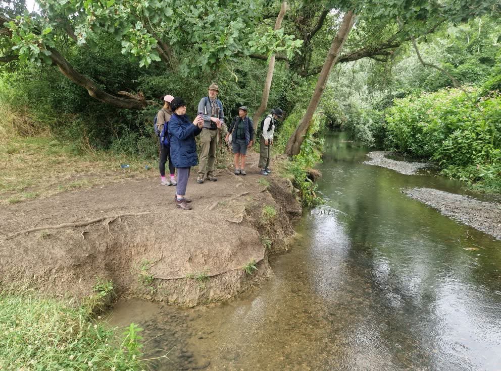 FORCE (@friendsrivcrane) on Twitter photo Out with a group from <a href="/InspiralLondon/">InspiralLondon</a> , walking from Hayes to Twickenham on section 30 of their 350km route Out with a group from <a href="/InspiralLondon/">InspiralLondon</a> , walking from Hayes to Twickenham on section 30 of their 350km route
