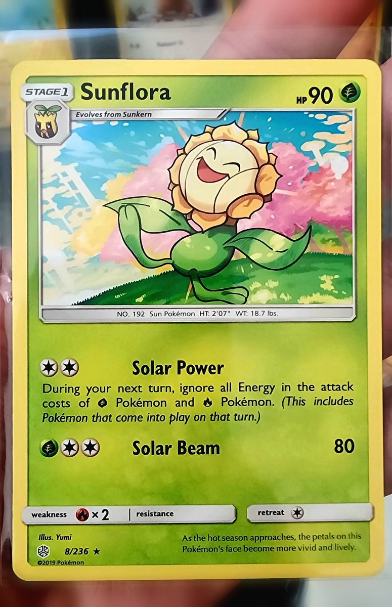 ☀️🌱 Happy Saturday everyone! Be the kind of person who radiates with joy like Sunflora 🌻😊 it might just make someone's day!