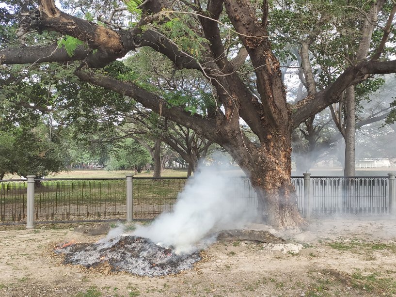 Quemar desechos cerca o debajo de los #árboles les ocasiona daños que pueden llevarlos a su muerte.
Una práctica ejecutada con frecuencia por contratistas y personal de algunas alcaldías e incluso el ciudadano común.
Las soluciones: Educar, supervisar y sancionar.