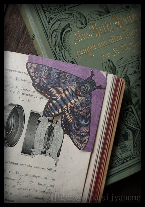 【明星堂作品お取り扱い常設店舗】
 ・大阪中崎町 舎利殿様 <a href="/syarineko/">舎利猫</a>
 【参加イベント】 
・博物ふぇすてぃばる！11
20247/20(日)21(月・祝) 東京ビッグサイト南1
E04 明星堂（2025両日）
x.com/hakubutufes/st…