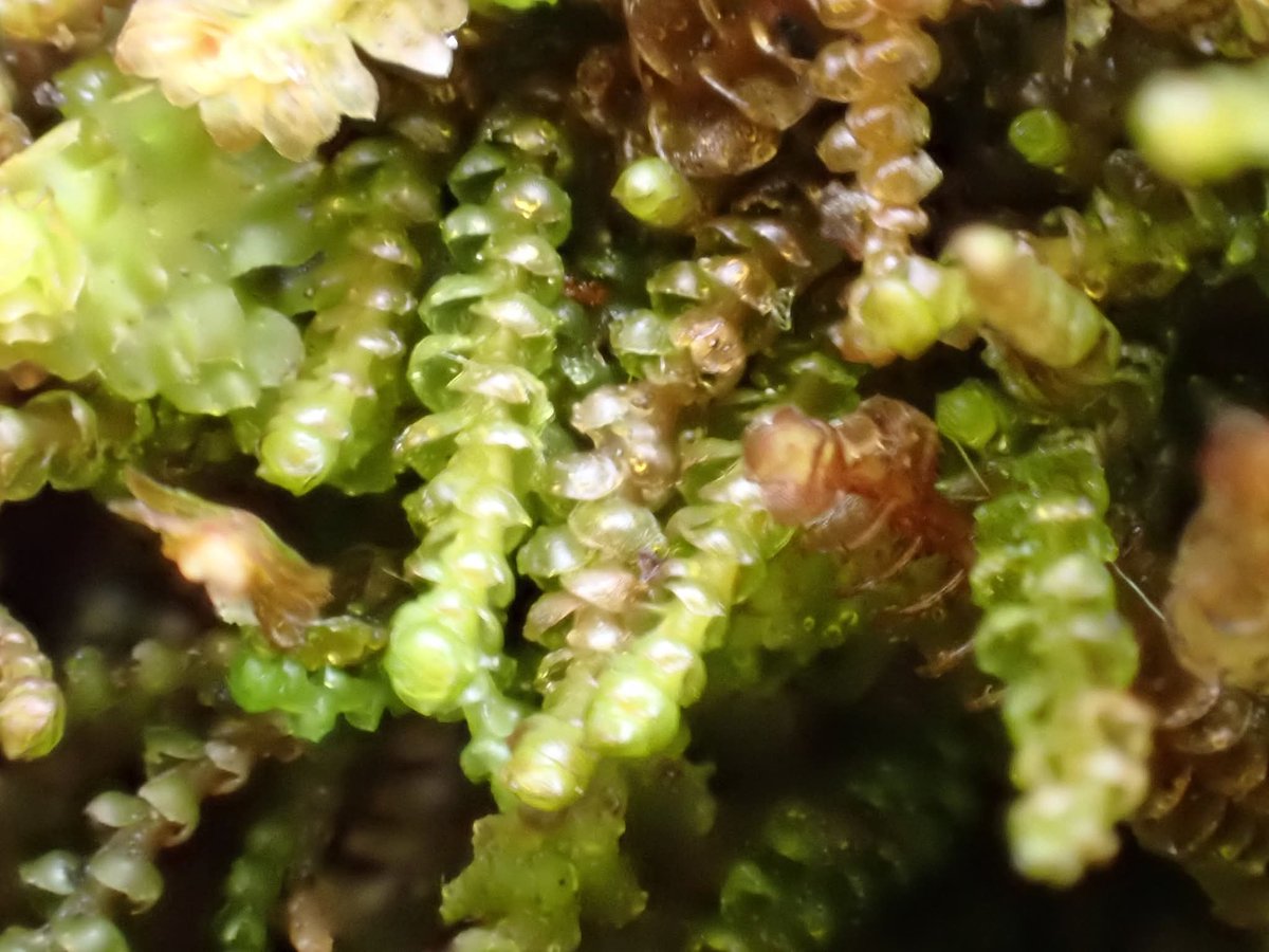 Jamie warren tweet media