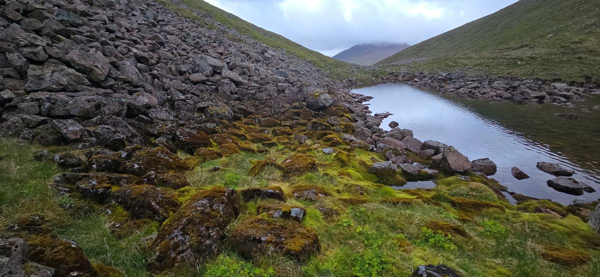 Jamie warren tweet media