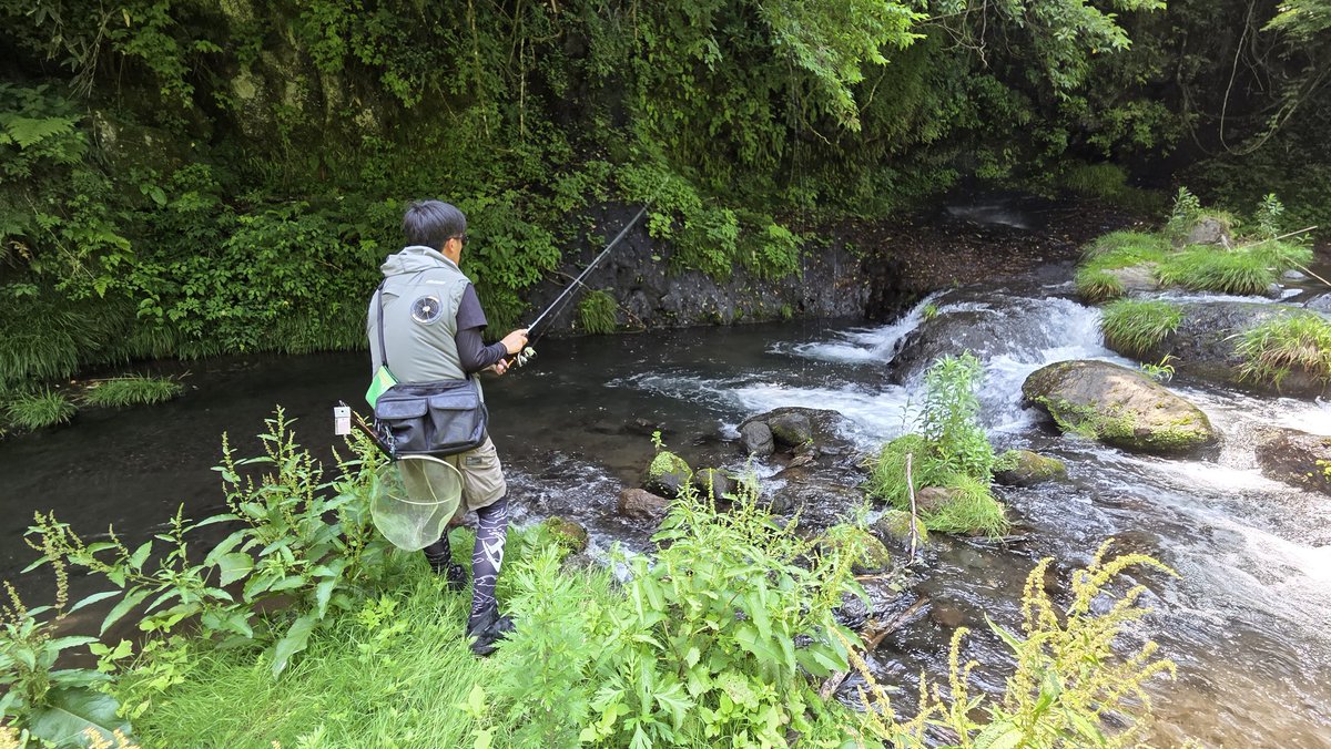 yamatobeee's tweet photo. 暑い夏は山へ🎣 https://t.co/zLqViPYHp1