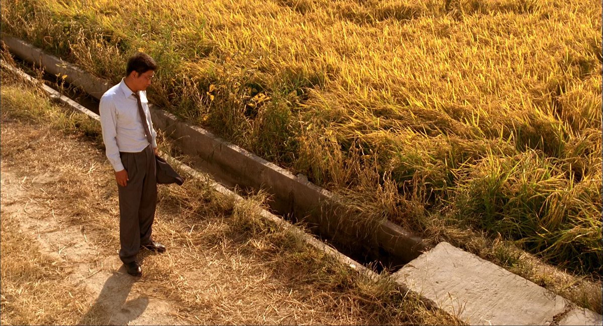 TheCinegogue tweet picture