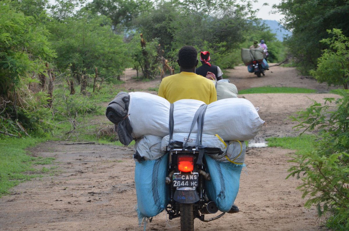 hrrds_s's tweet image. It's raining over Sudan’s Nuba Mountains, yet displacement grows. @hrrds_s is on the ground, providing vital aid to ease those suffering. In the IDP camps, shelter, food & blankets are urgently needed.
Please support our intervention 👇🏿reframe.network/donate-now.php… #Sudan